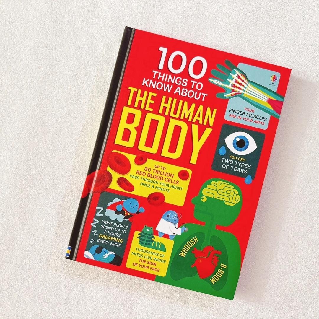 新品 100 Things to Know About 英語絵本 11冊セット