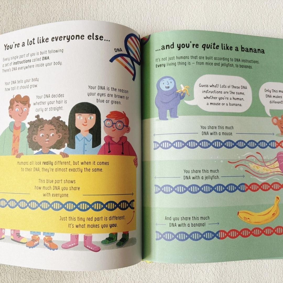 新品 100 Things to Know About 英語絵本 11冊セット