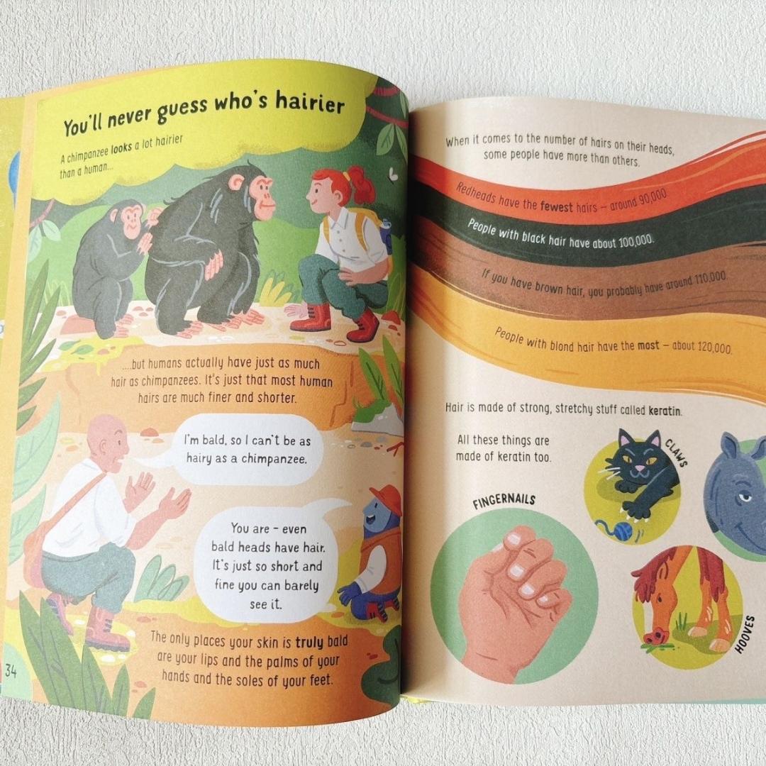 新品 100 Things to Know About 英語絵本 11冊セット