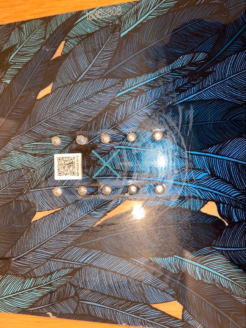 スノーボード SALOMON RUMBLE FISH 144