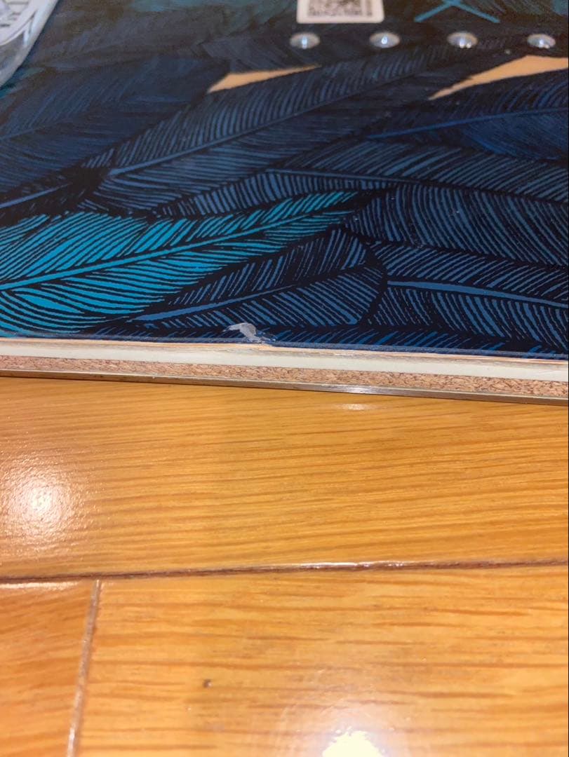 スノーボード SALOMON RUMBLE FISH 144