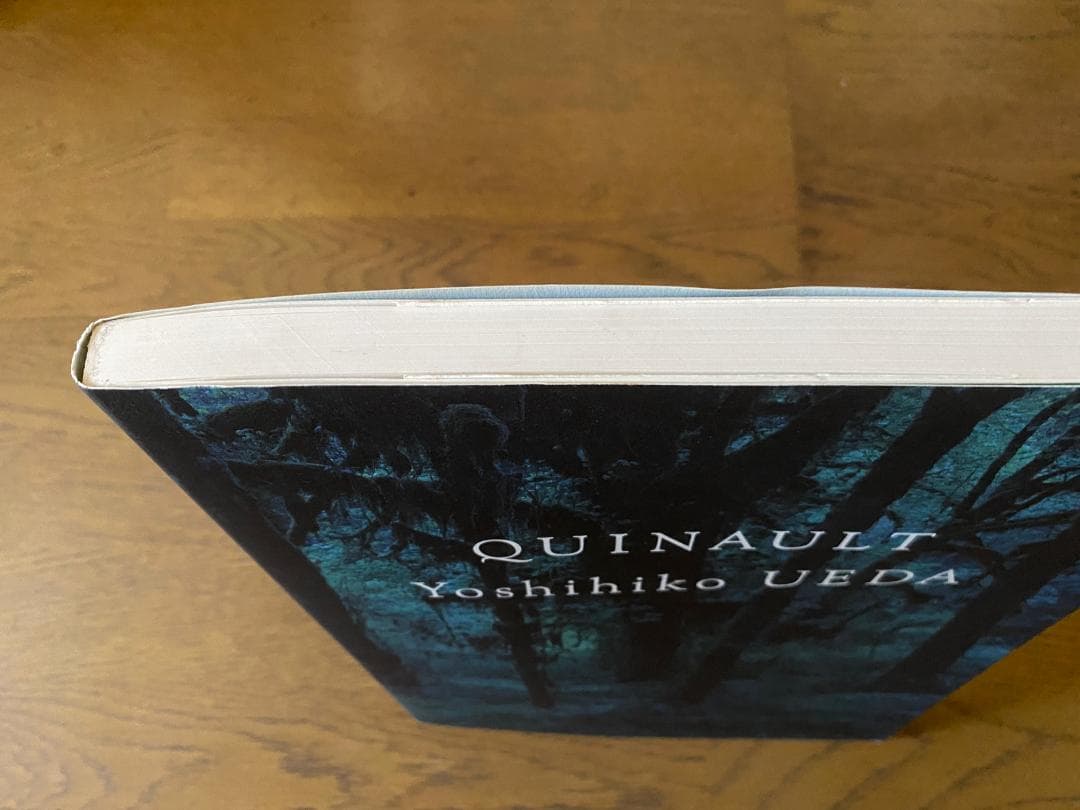 上田義彦「クゥィノルト/QUINAULT」1993年　直筆サイン入り　美品