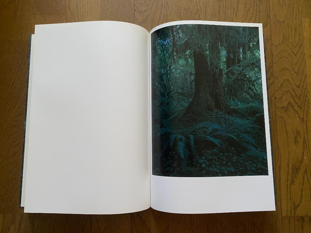 上田義彦「クゥィノルト/QUINAULT」1993年　直筆サイン入り　美品