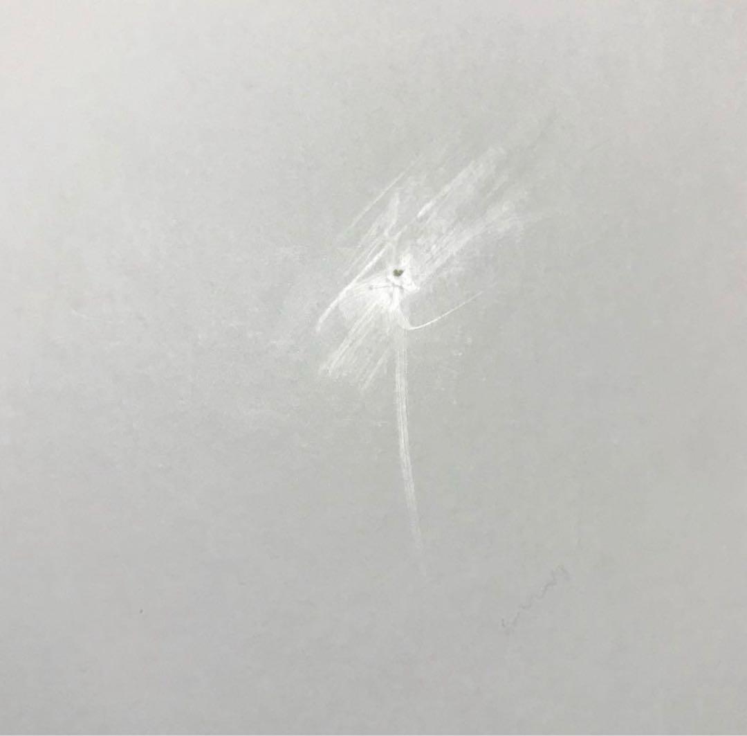 【希少】John Lennon Signature Box ジョン・レノン見本品