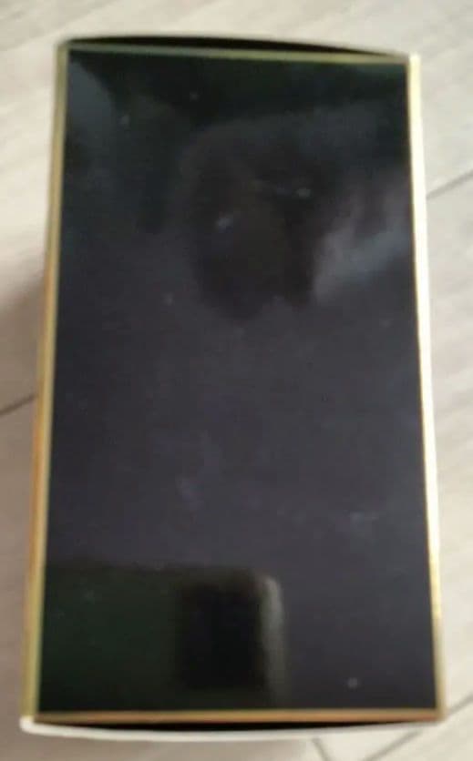 【⭐︎廃盤希少品⭐︎】LADY GAGA FAME 香水30ml