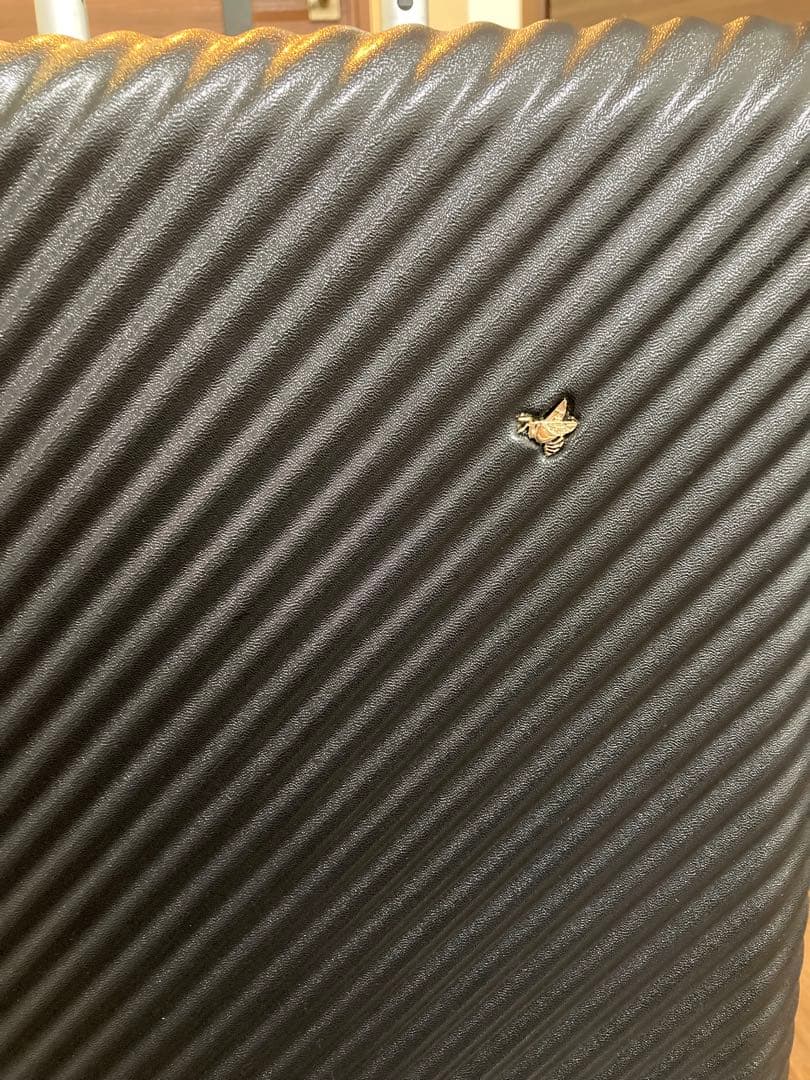 ACE HANT ハント　スーツケース　47L ブラック