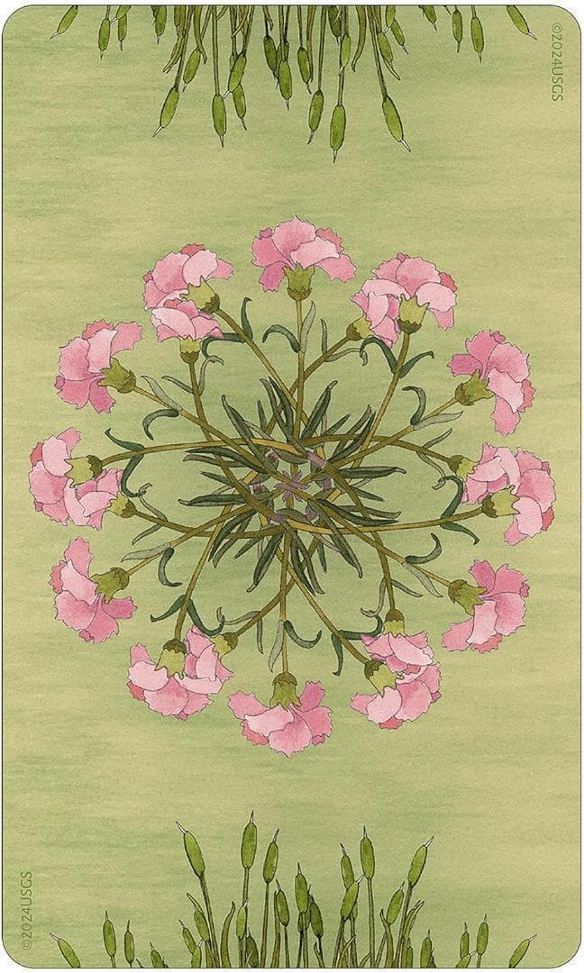 【正規品オラクルカード】内なる子供に語り掛ける愛らしい動物の仲間たちのデッキ