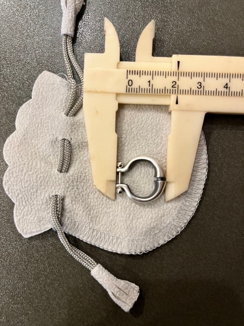 伊勢谷友介氏　ピアス片耳