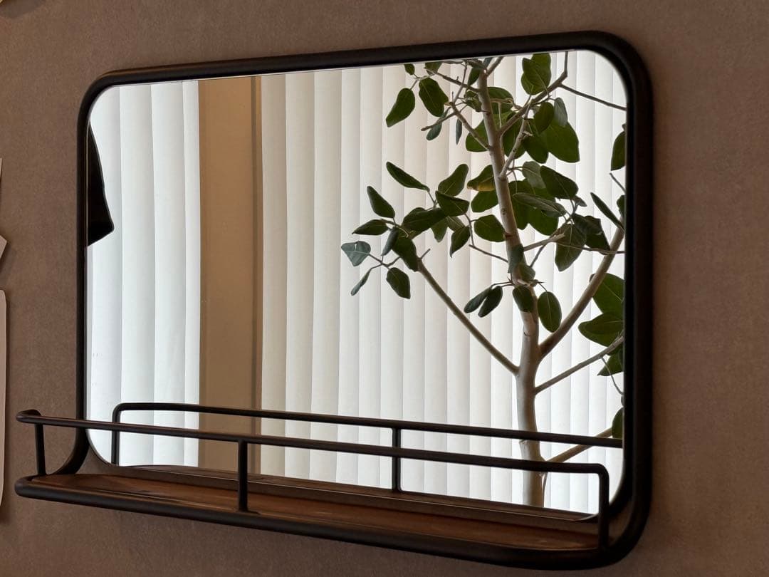 JACKAL MIRROR ノットアンティークス