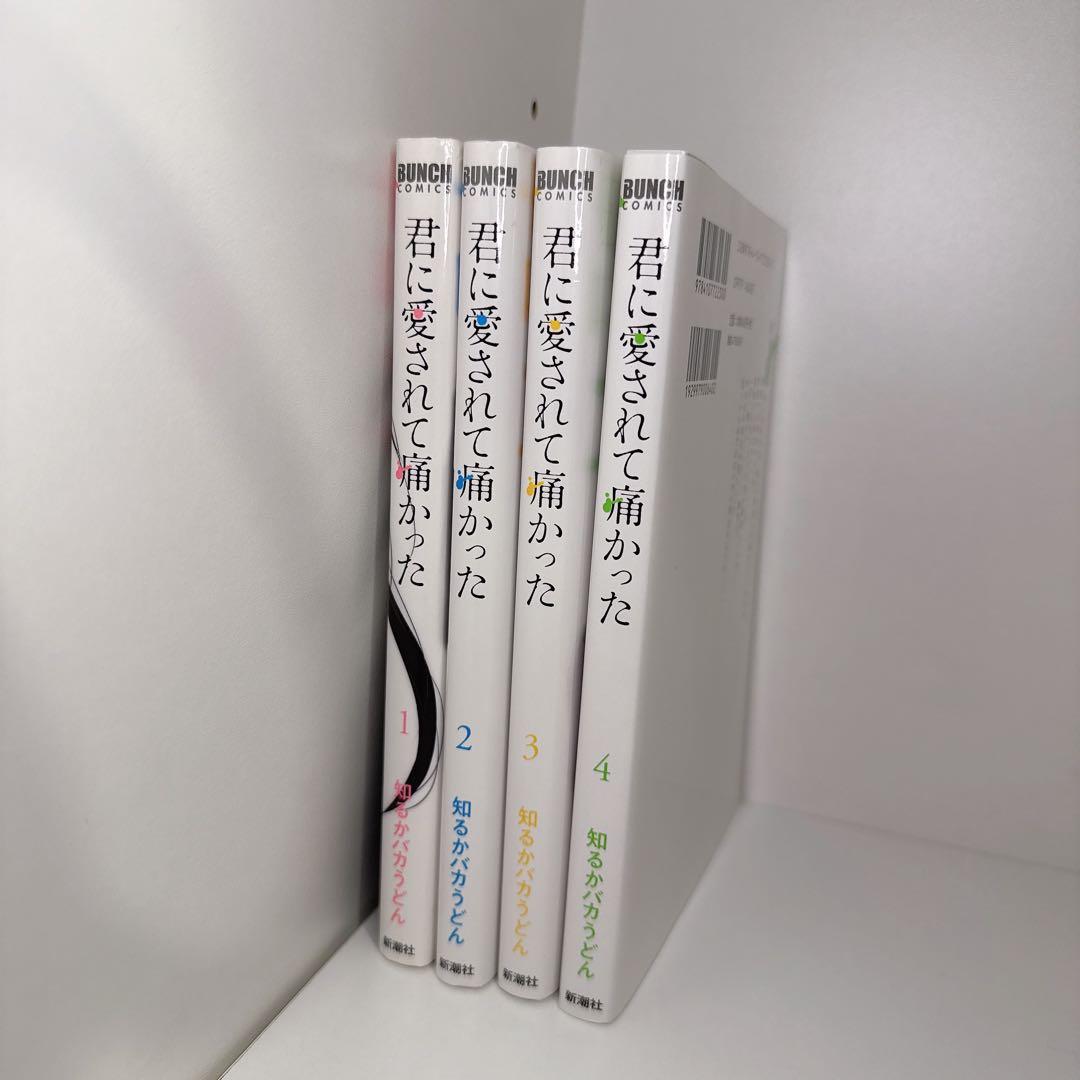 君に愛されて痛かった 全4巻セット