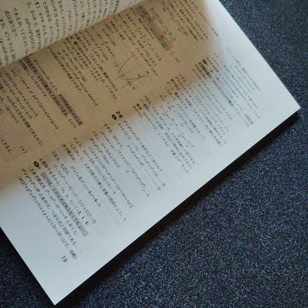 旧版　レア　大学への数学 新数学演習 2011年　東京出版　大学受験　大学入試