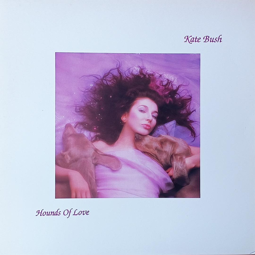 hounds of love(UK盤マト１チラシ入り）/kate bush