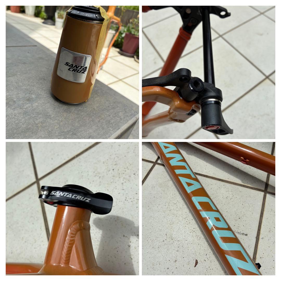 santacruz サンタクルズ chameleon カメレオン Mサイズ