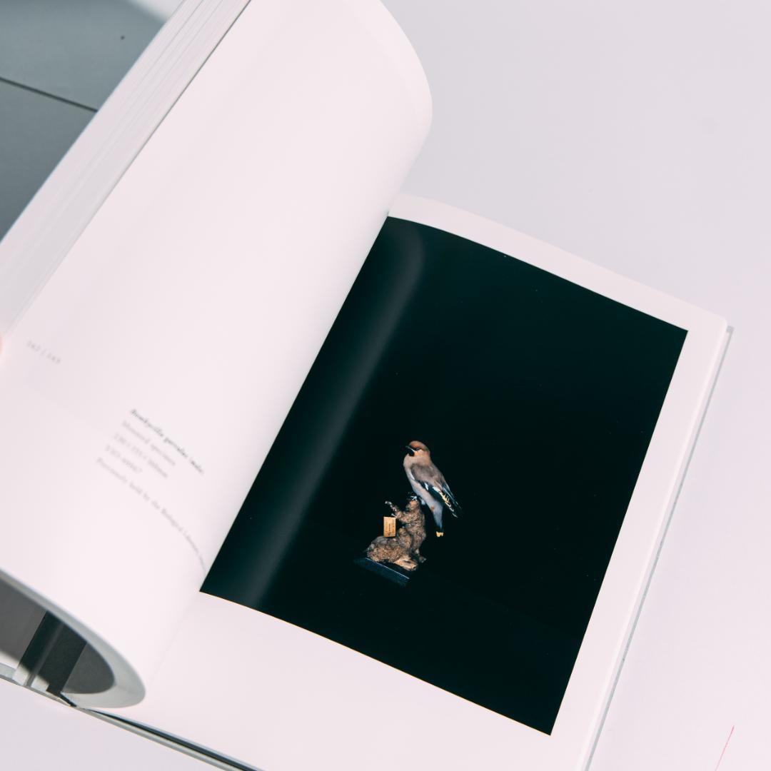 希少本 BIOSOPHIA of BIRDS : 上田義彦 原研哉