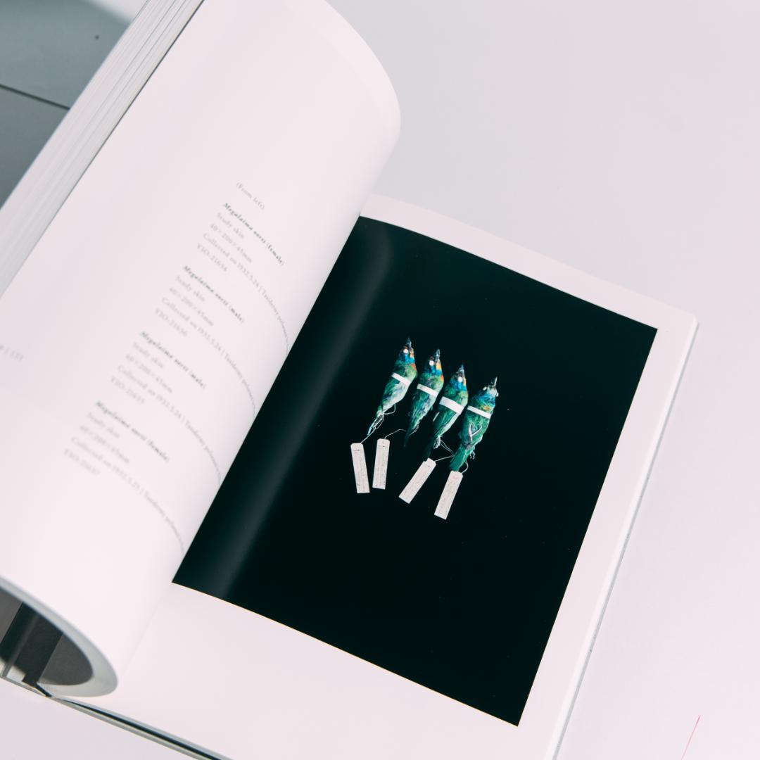 希少本 BIOSOPHIA of BIRDS : 上田義彦 原研哉