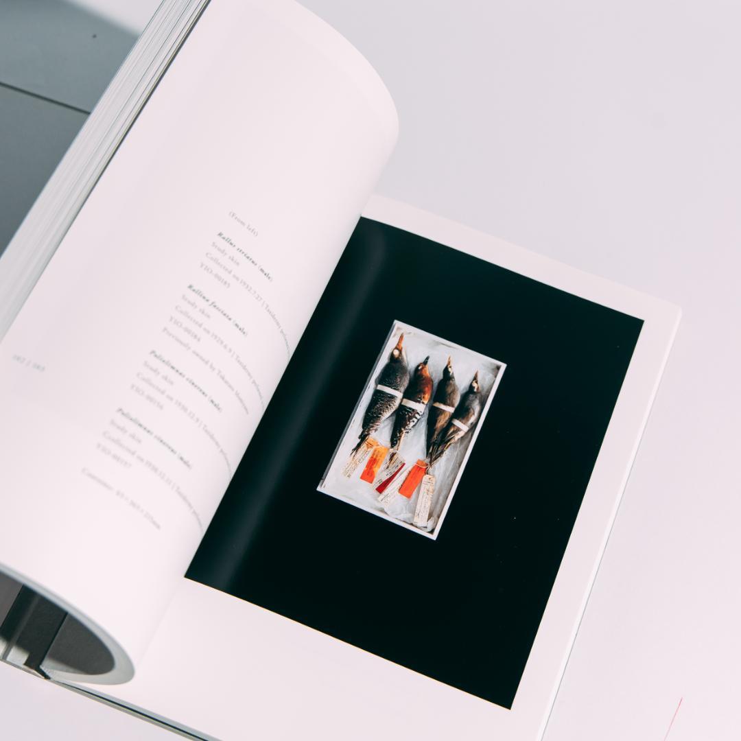 希少本 BIOSOPHIA of BIRDS : 上田義彦 原研哉