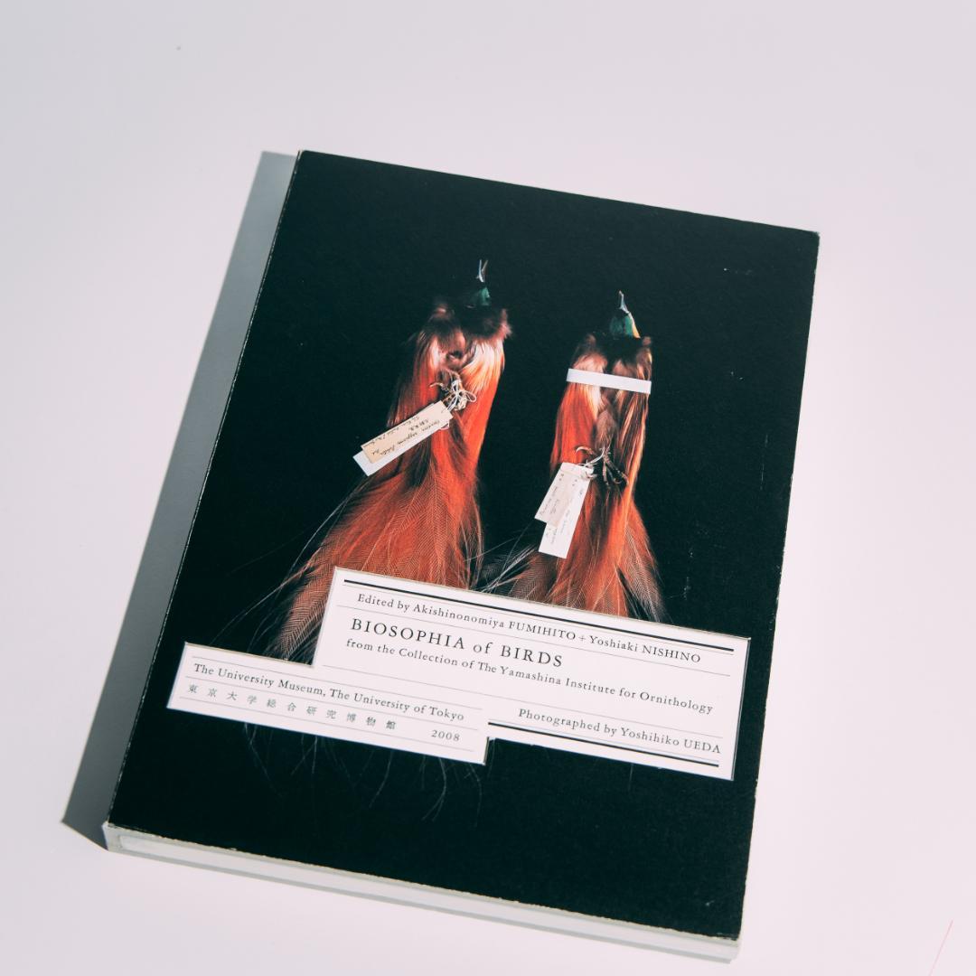 希少本 BIOSOPHIA of BIRDS : 上田義彦 原研哉