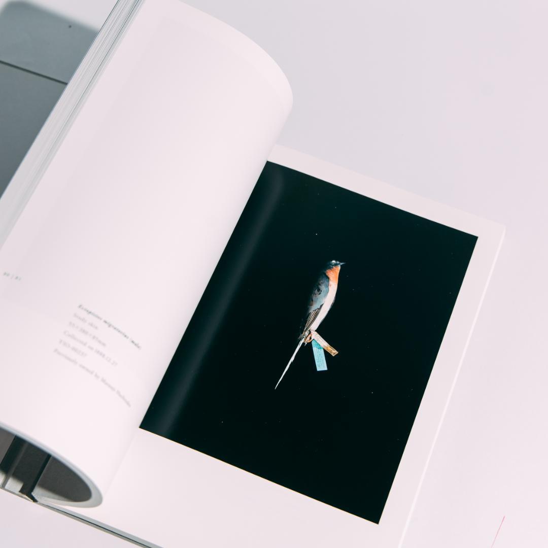 希少本 BIOSOPHIA of BIRDS : 上田義彦 原研哉