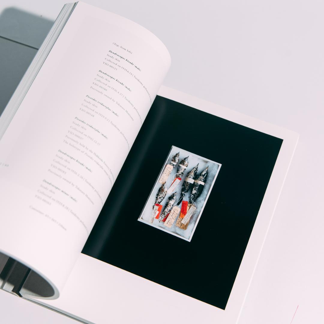 希少本 BIOSOPHIA of BIRDS : 上田義彦 原研哉