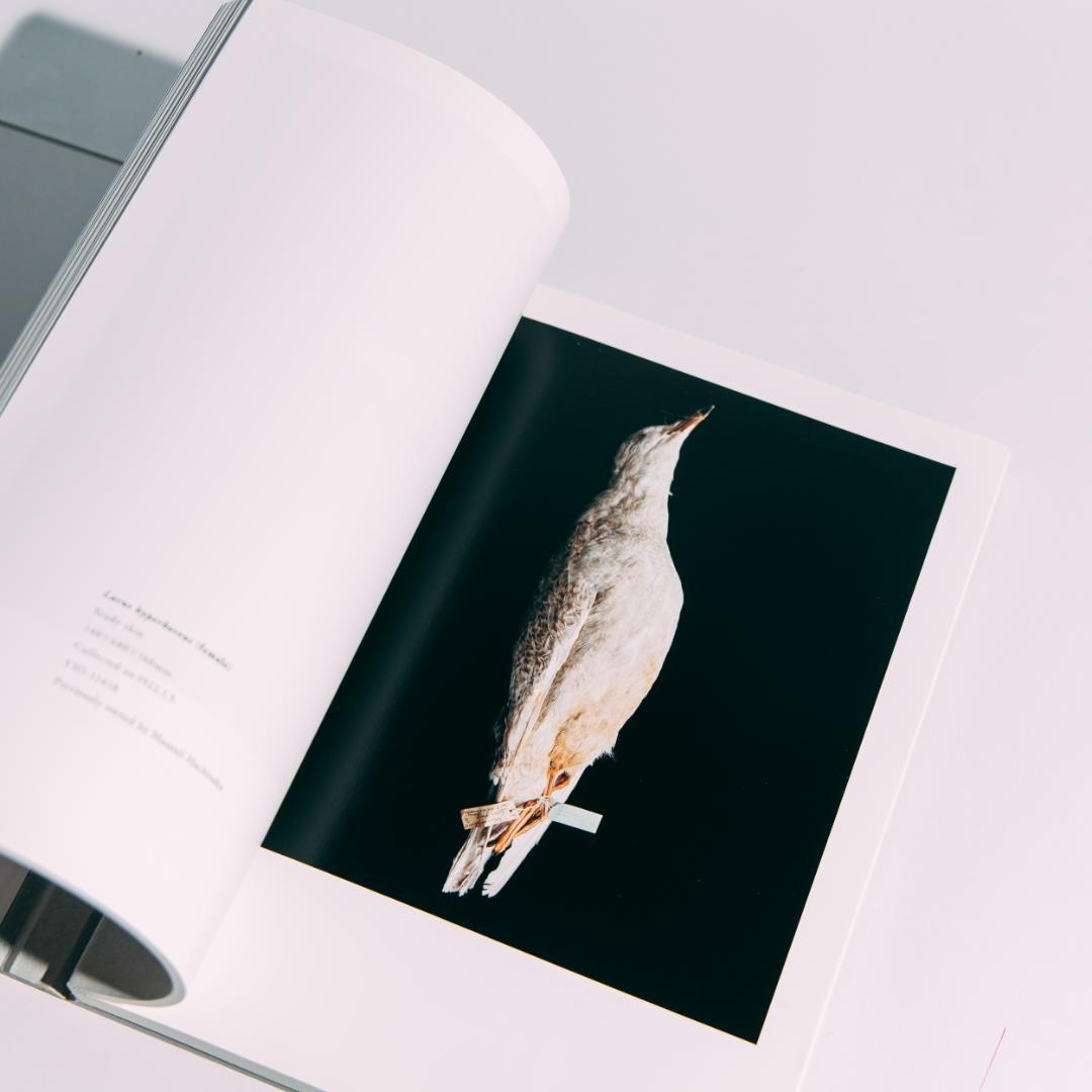 希少本 BIOSOPHIA of BIRDS : 上田義彦 原研哉