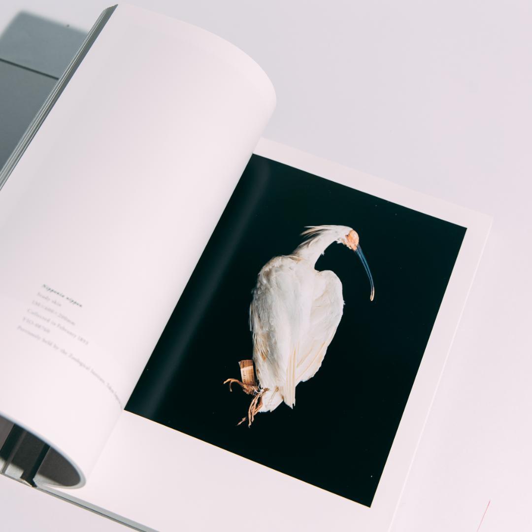 希少本 BIOSOPHIA of BIRDS : 上田義彦 原研哉