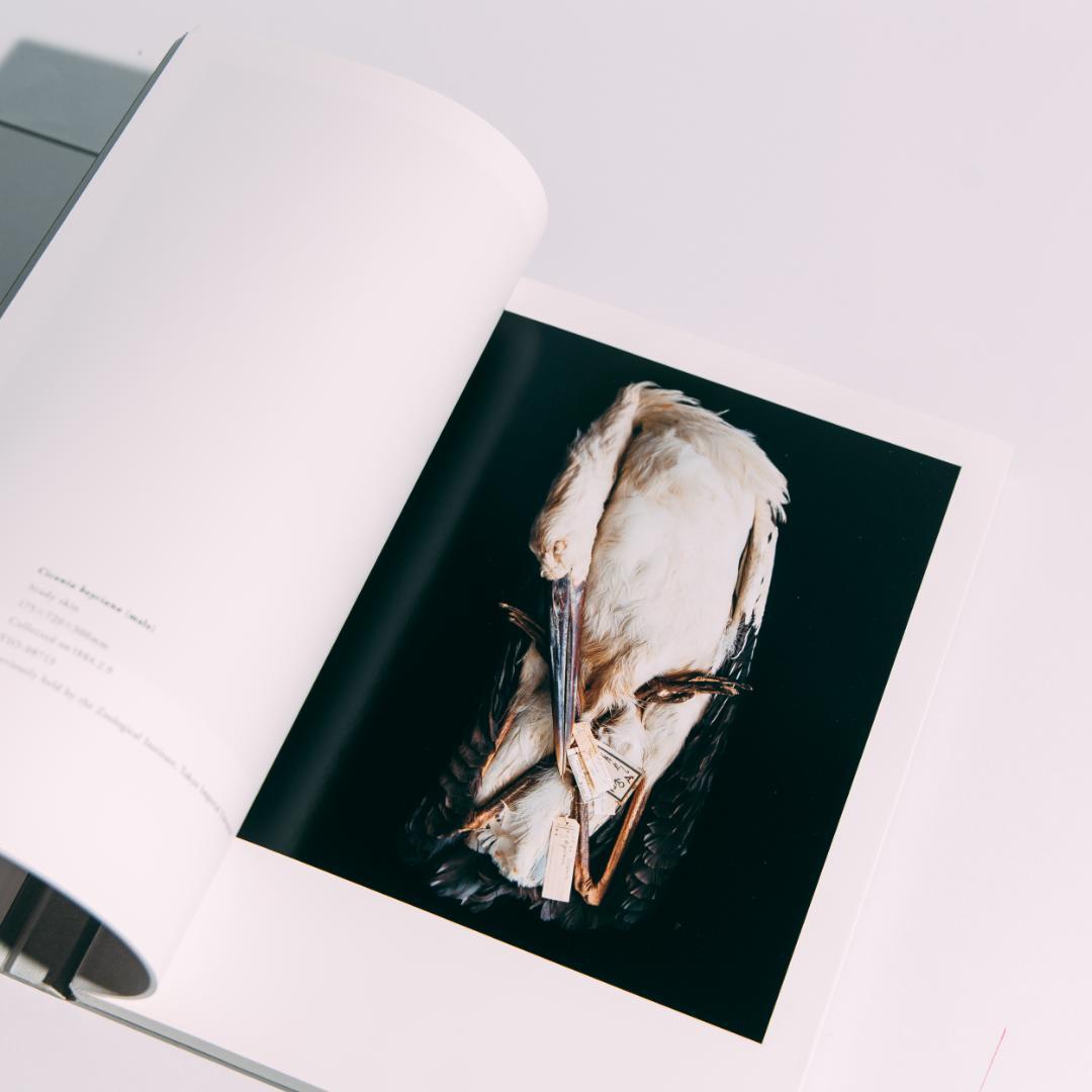 希少本 BIOSOPHIA of BIRDS : 上田義彦 原研哉