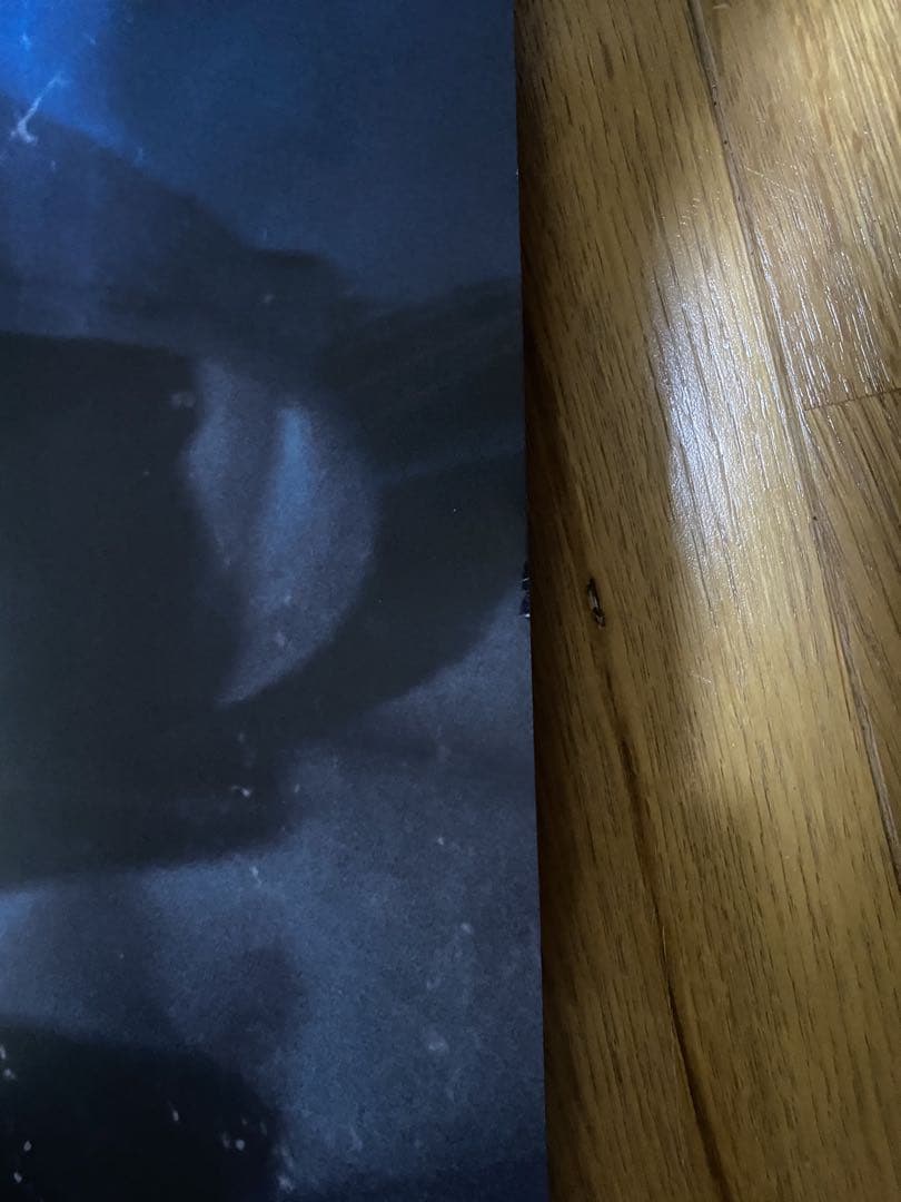 zornポスター2枚セット