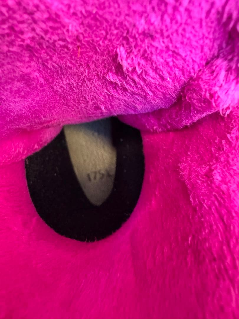 ロシニョール　アナ雪スキー板、ストック、ブーツ　ビンディング　セット