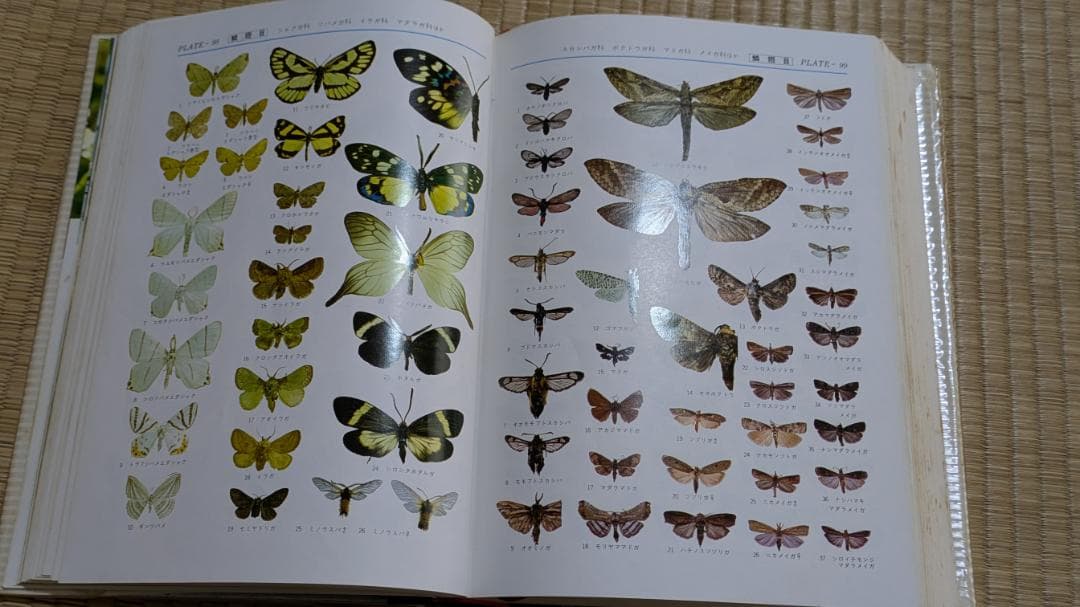 日本百科大事典 　 小学館