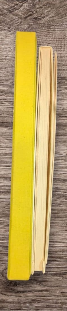 加納光於　葡萄弾-遍在方位について