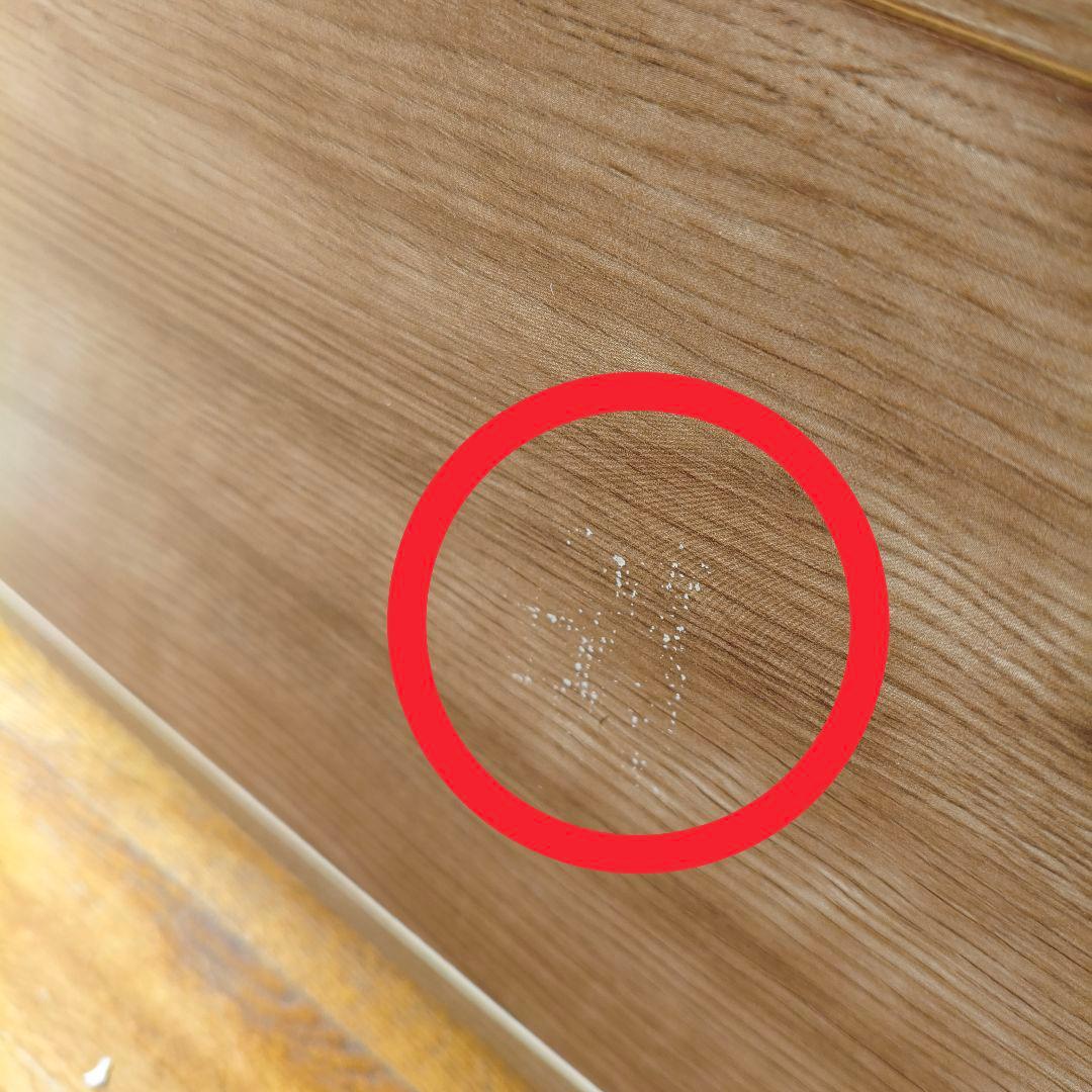 LOWYA 猫 テーブル ロウヤ ローヤ　ローテーブル