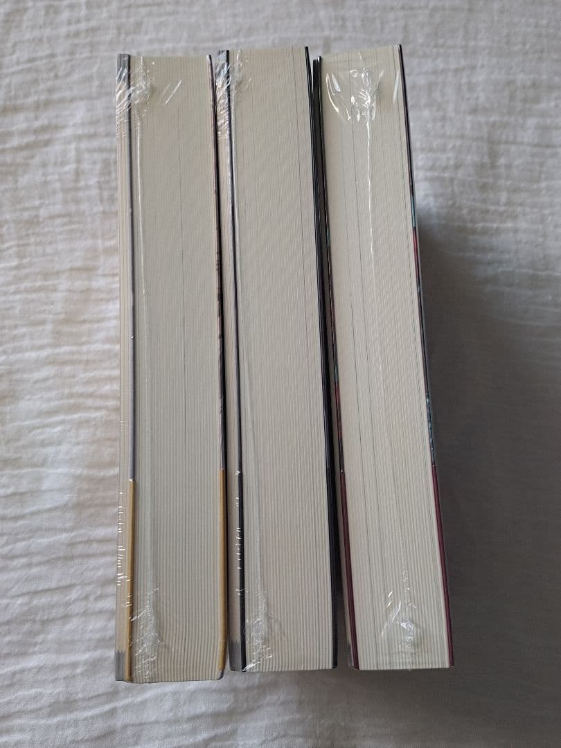 BL小説 二哈和他的白猫師尊 6～8巻 特装版 肉包不吃肉 未開封