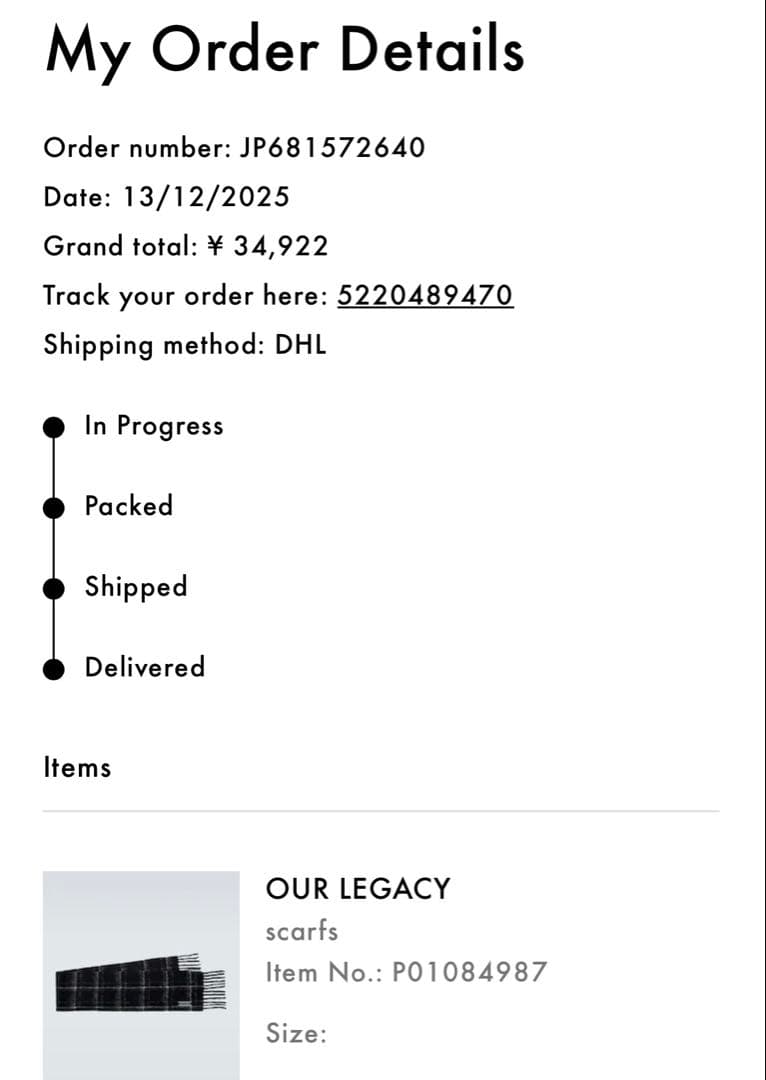 小物 ourlegacy ESTATE SCARF