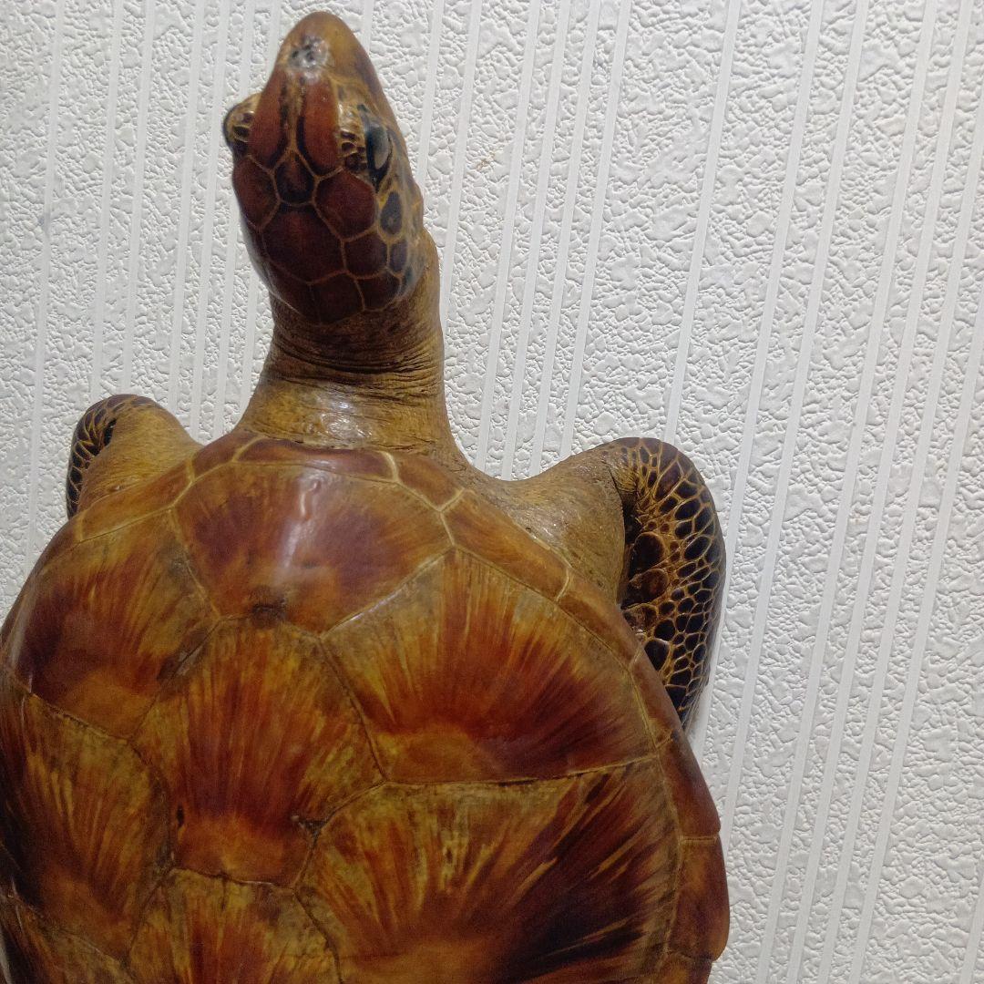 リアルな亀の置物 約60cm
