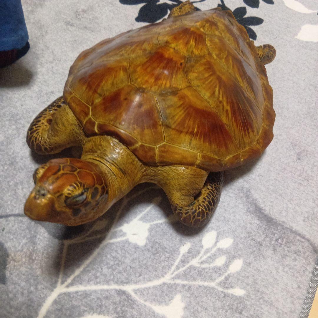 リアルな亀の置物 約60cm