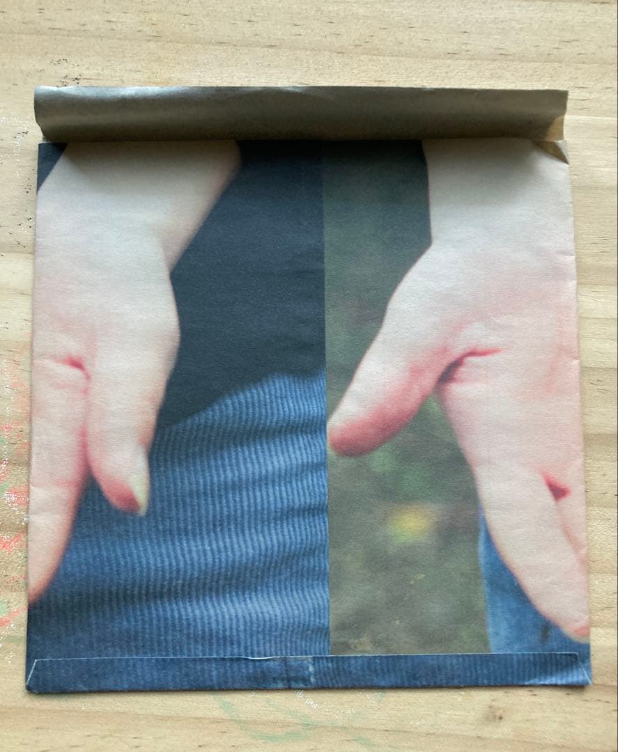 柴田聡子　『2011、冬のデモ』　貴重盤　しばたさとこ