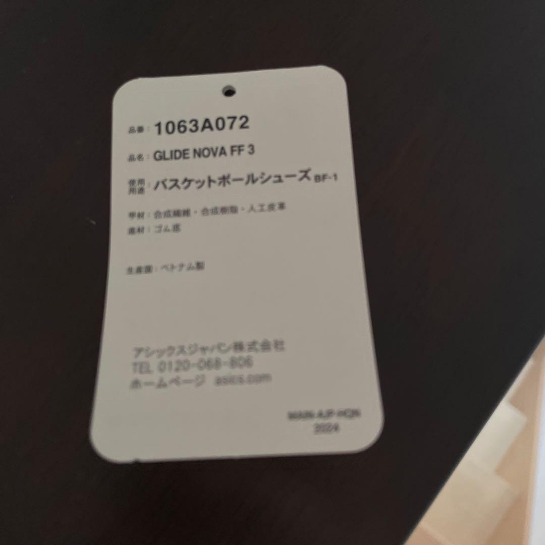 ASICS　GLIDE NOVA FF3 30cm