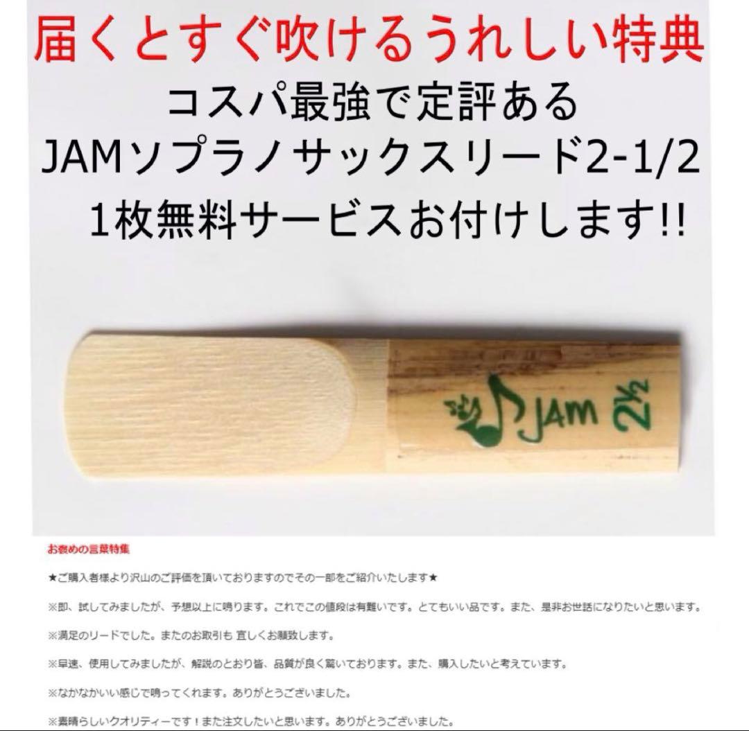 【今月1本限定！超希少】新品ソプラノサックス — 豊かな響き！豪華特典つき