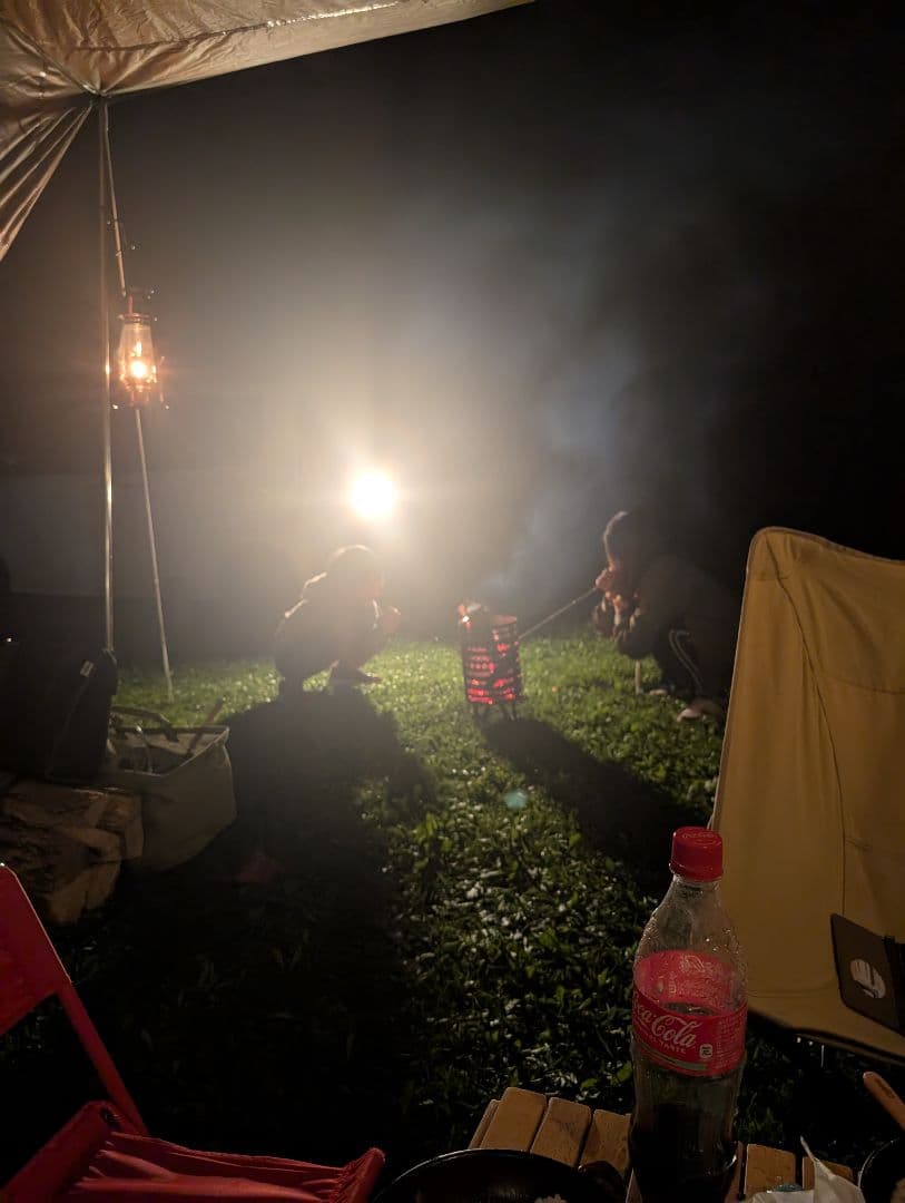 〈週末セール〉【思い出を出品致します。】オガワ　ヴィガス2