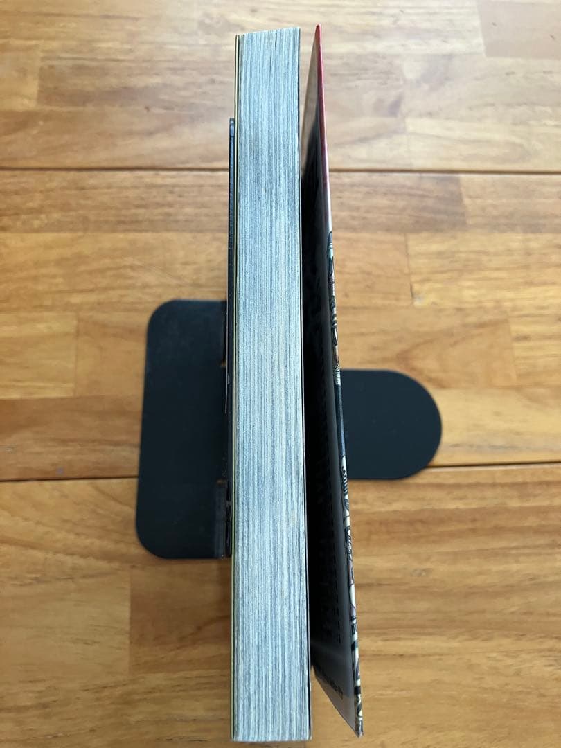 マネーの拳 12巻