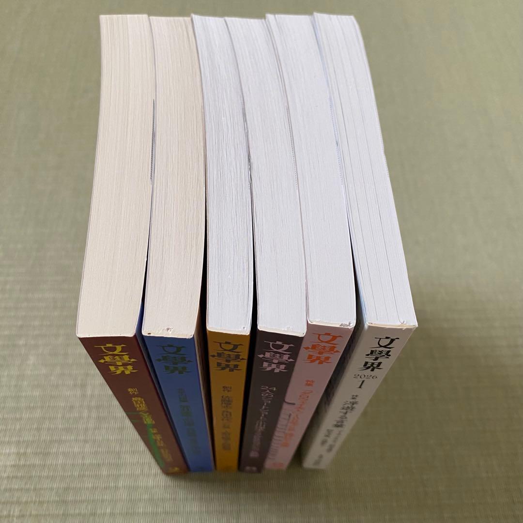 文芸誌4社24冊まとめ売り