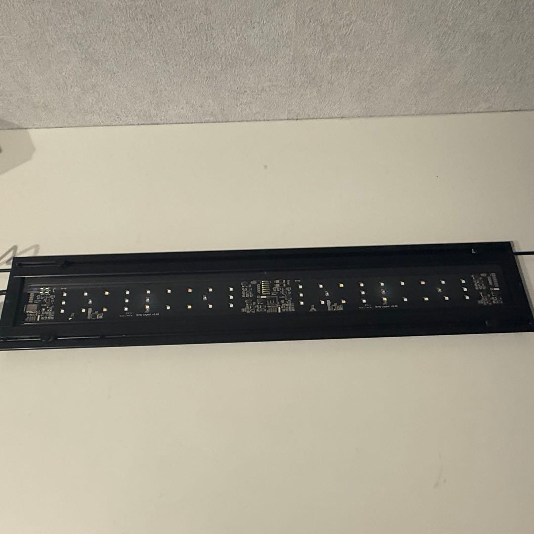 グラッシーウイング２　マリン　60㎝