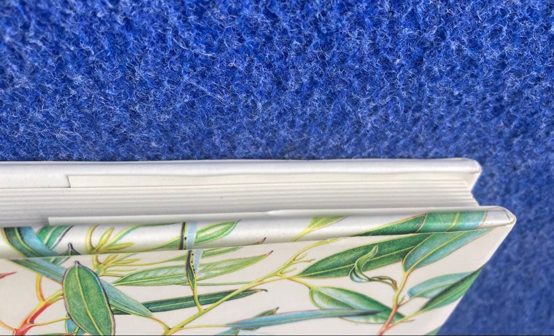 洋書 Brush With Gondwana