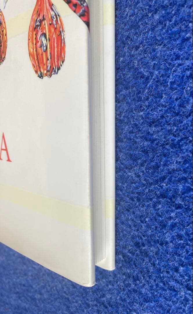 洋書 Brush With Gondwana