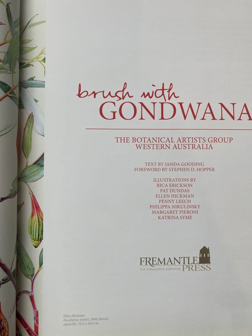 洋書 Brush With Gondwana