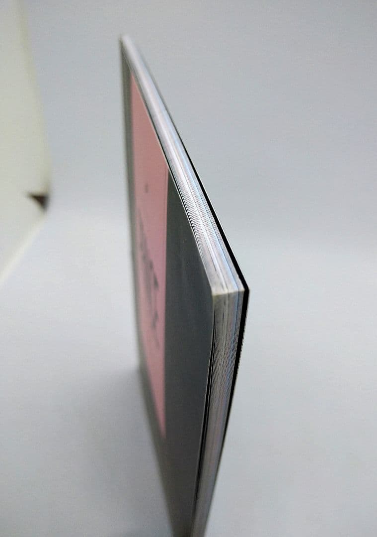 超希少【肖戦】早期写真集ミニPB《PRINCE》 (陳情令 X玖)