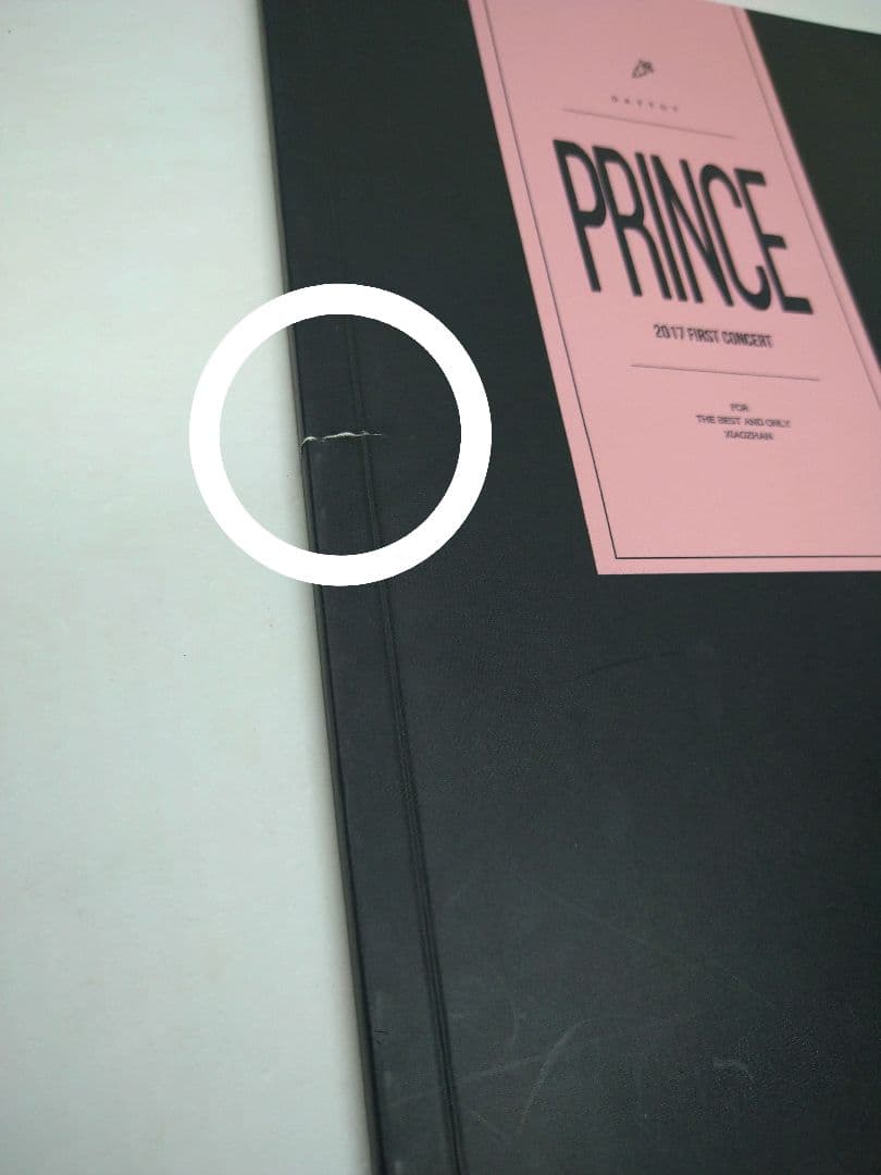 超希少【肖戦】早期写真集ミニPB《PRINCE》 (陳情令 X玖)