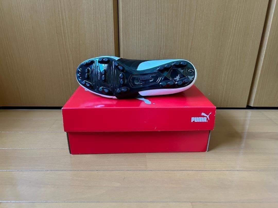 新品 パラメヒコ ライト パラメヒコライト 廃盤 レア 2足セット 28.0cm