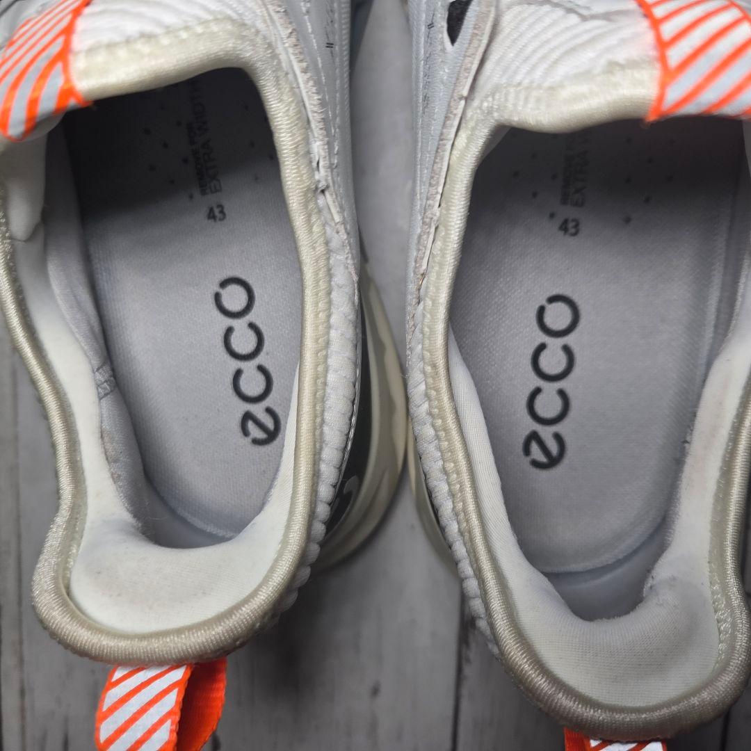 【ECCO】防水BIOM C4 BOA スパイクレスゴルフジュース 43