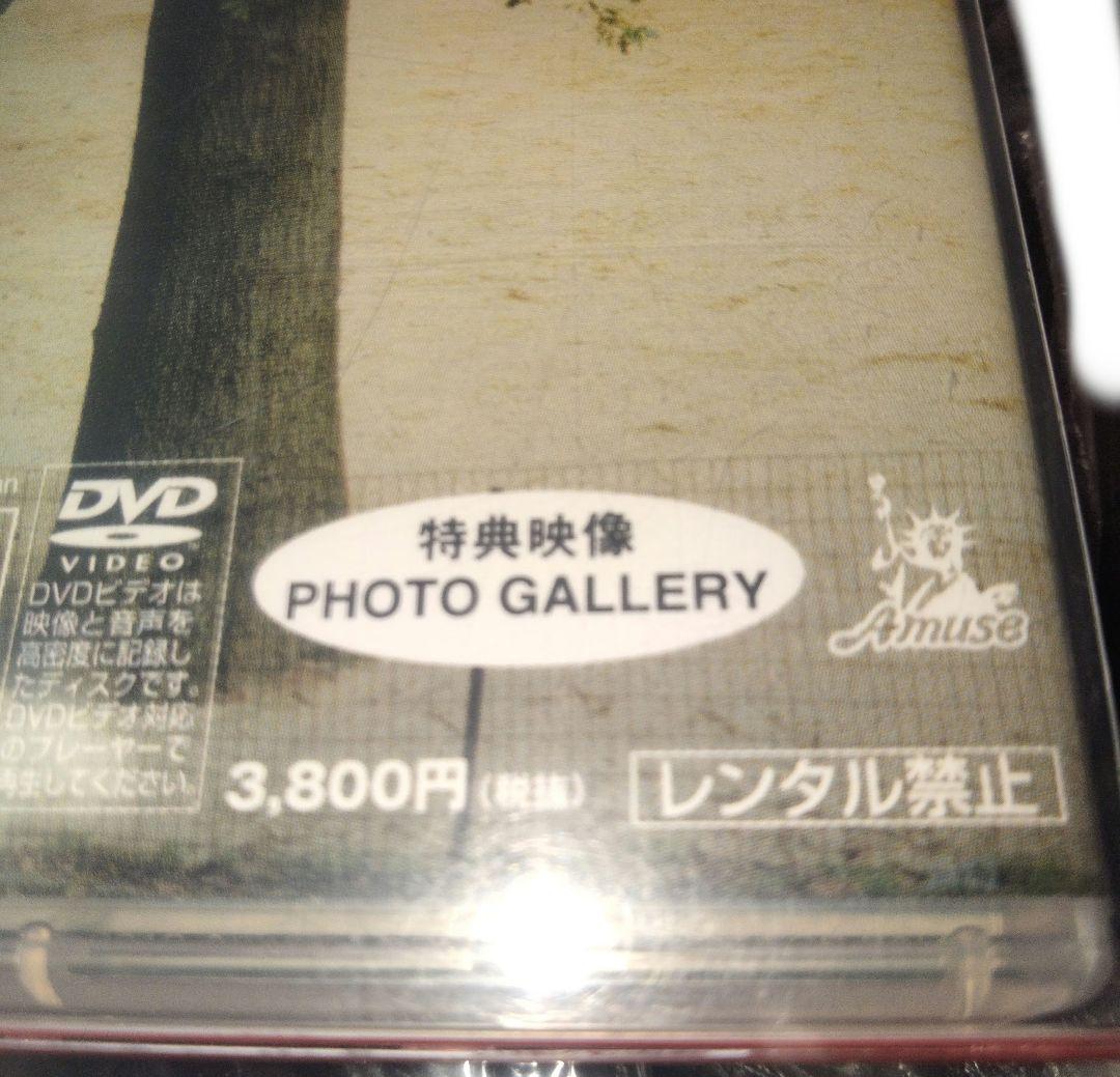 三浦春馬 佐藤健DVD HT NYの中心で鍋をつつく2009夏 非売ポストカード